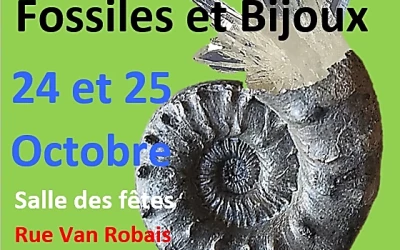 Salon des minéraux, fossiles et bijoux