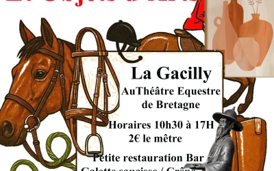 Vide sellerie