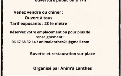 Vide grenier à lanthes
