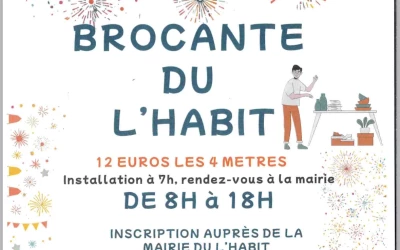 Vide grenier