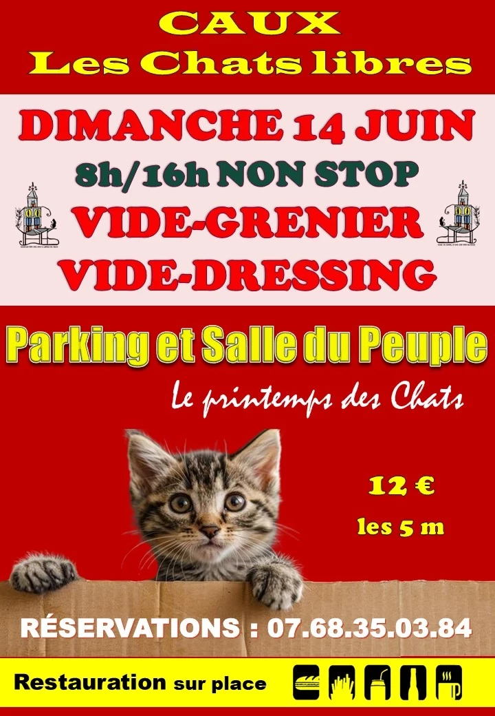 Le printemps des chats