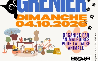 Vide grenier