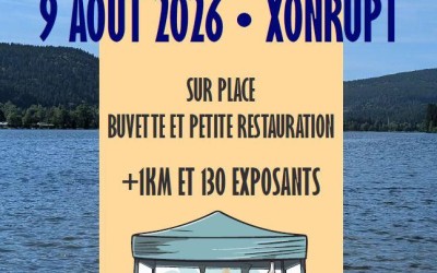 Les brocs du lac