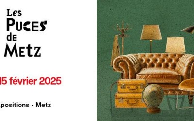 Les puces de metz
