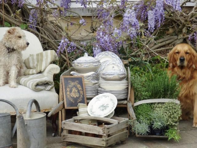 47 ème brocante