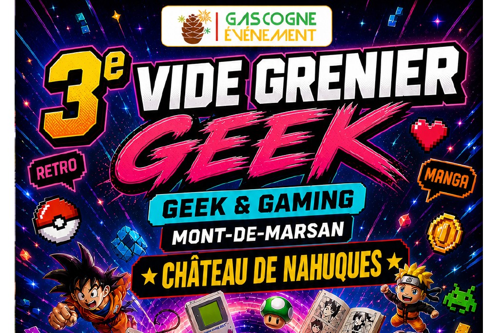 Vide grenier geek