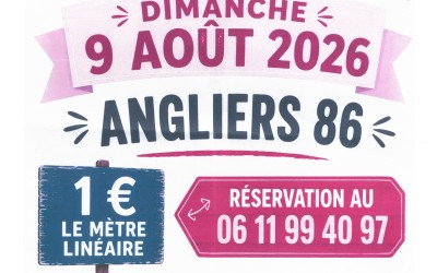Vide-greniers de l'association "pattes de loup"