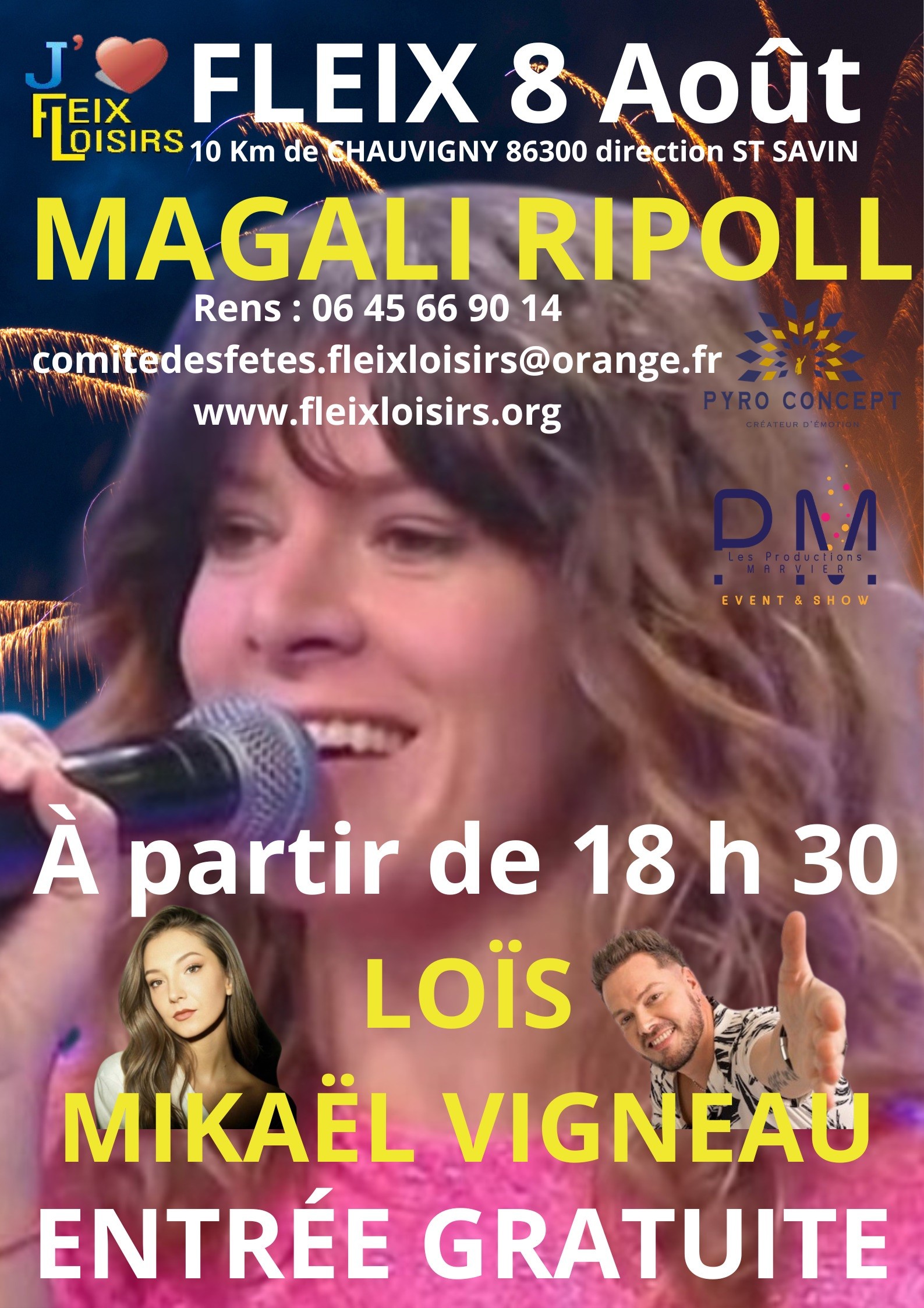 17ème fleixtival