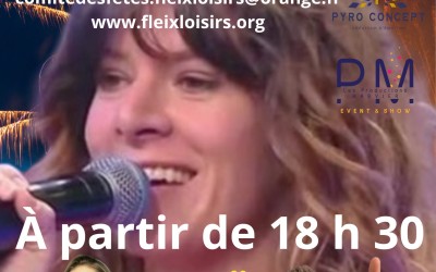 17ème fleixtival