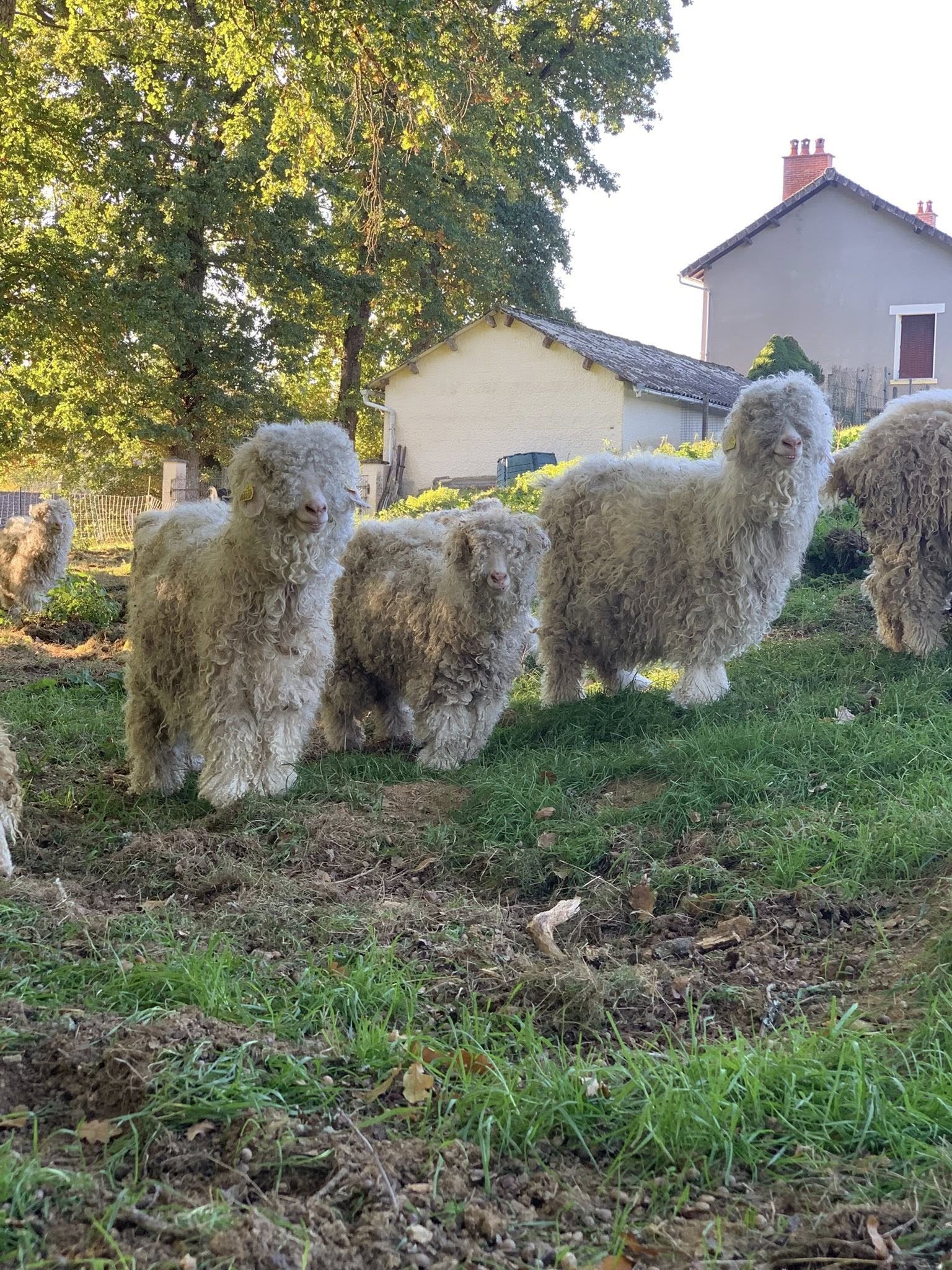 Vide grenier au domaine d'hestia