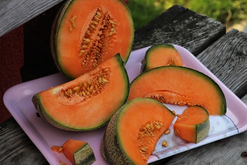 Foire aux melons