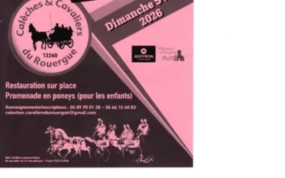 Vide-grenier et brocante au foirail