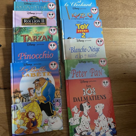 lot de 12 livres Disney