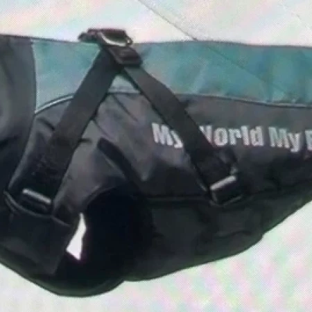 Manteau d'hiver pour chien